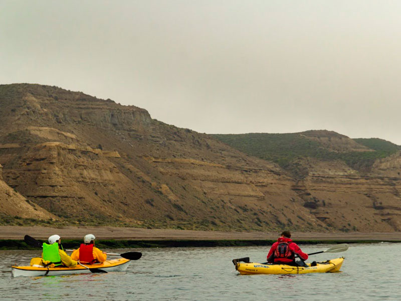 Excursión Kayak con Lobos - Ualan Tour