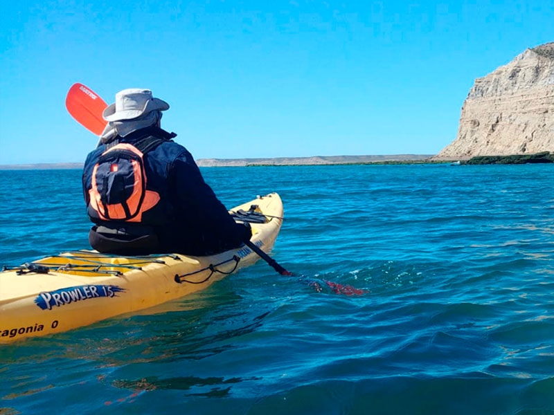 Excursión Kayak con Lobos - Ualan Tour