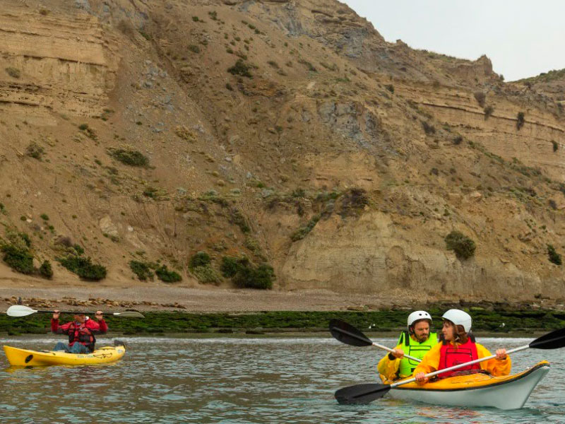 Excursión Kayak con Lobos - Ualan Tour