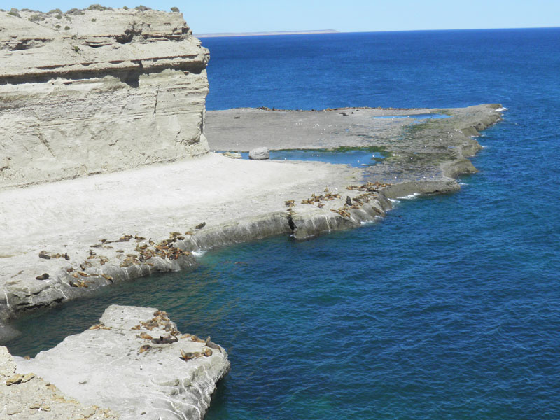 Excursión a Península Valdes- Ualan Tour