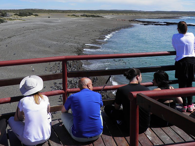 Excursión a Punta Tombo - Ualan Tour