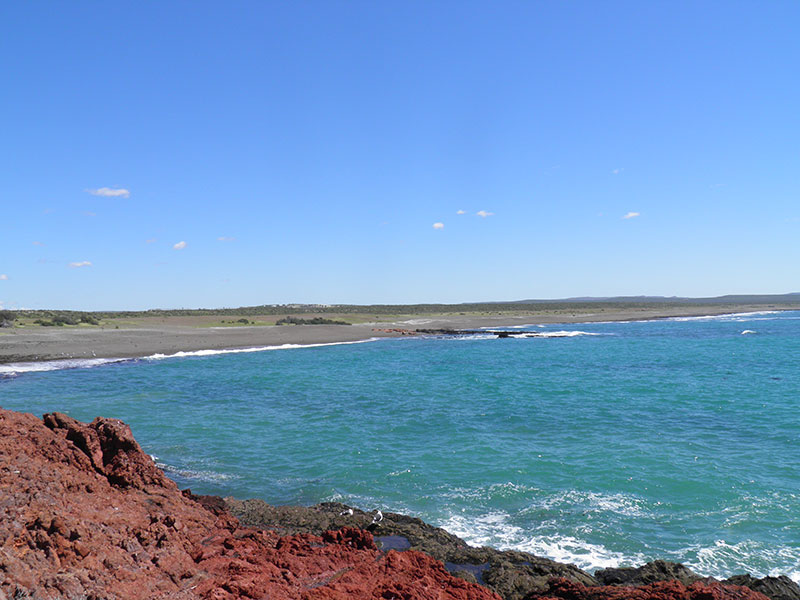 Excursión a Punta Tombo - Ualan Tour