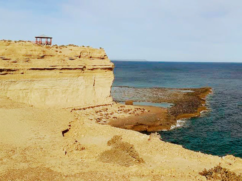 Excursión sólo ballenas - Ualan Tour