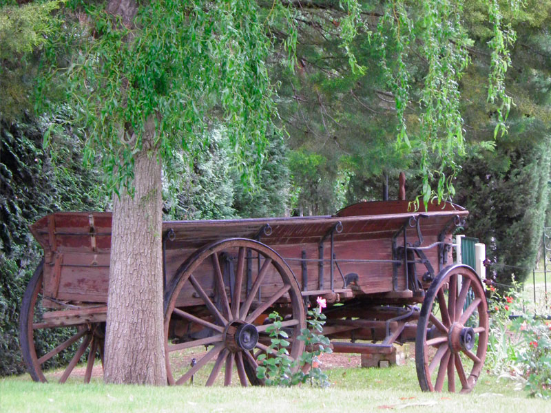 Excursión a Valle Inferior - Ualan Tour